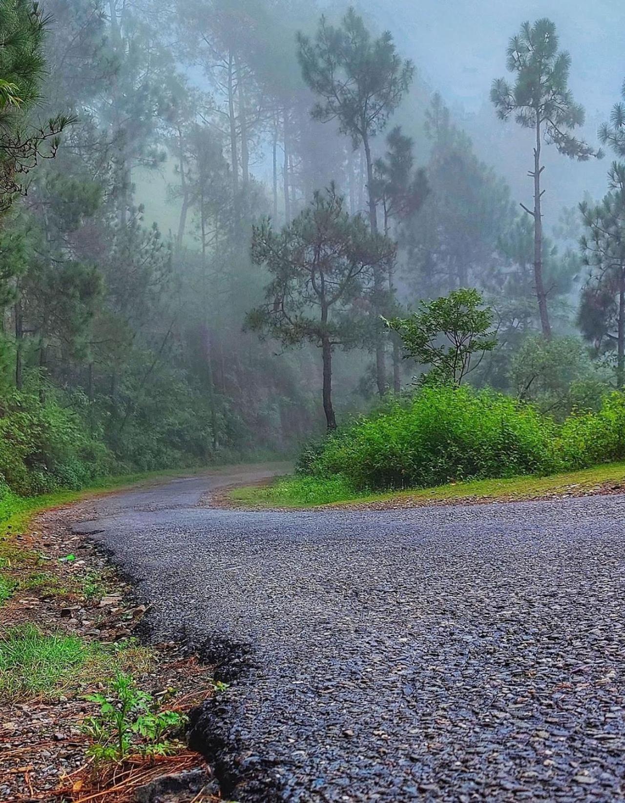 Kabana De Nature Rājgarh Kültér fotó